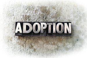 adoption